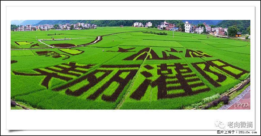 【春天,广西桂林灌阳县向您发出邀请!】开篇 - 游山玩水 - 周口生活社区 - 周口28生活网 zk.28life.com