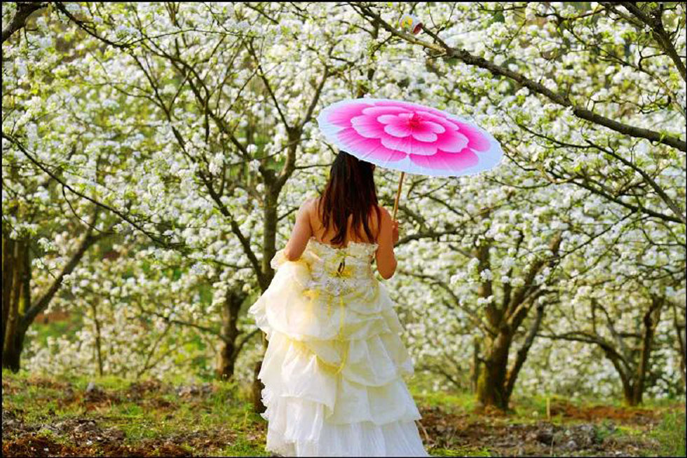 【春天,广西桂林灌阳县向您发出邀请!】我们在灌阳看梨花 - 游山玩水 - 周口生活社区 - 周口28生活网 zk.28life.com