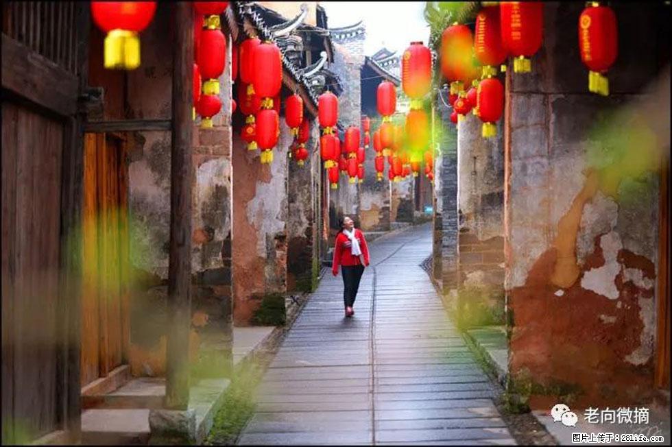 【春天,广西桂林灌阳县向您发出邀请!】江口老街又逢春 - 游山玩水 - 周口生活社区 - 周口28生活网 zk.28life.com