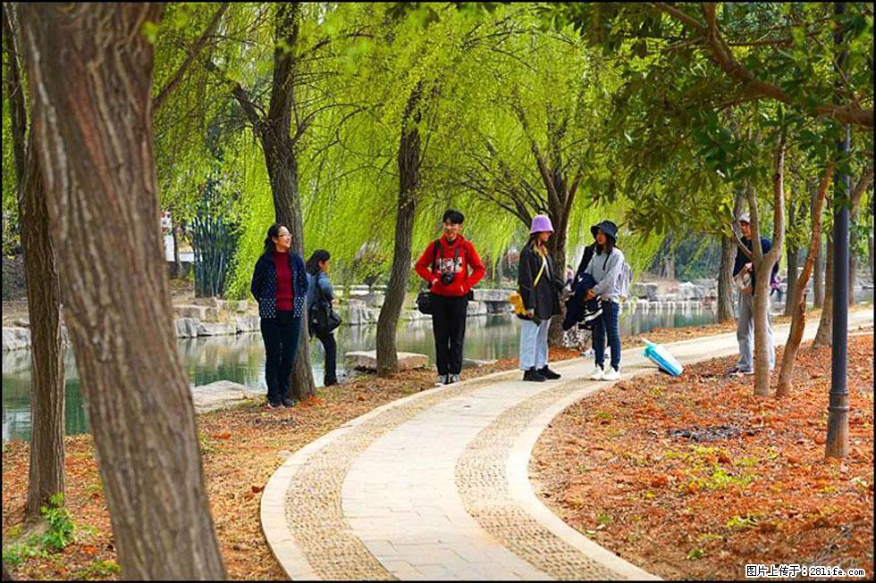 【春天,广西桂林灌阳县向您发出邀请!】江口老街又逢春 - 游山玩水 - 周口生活社区 - 周口28生活网 zk.28life.com