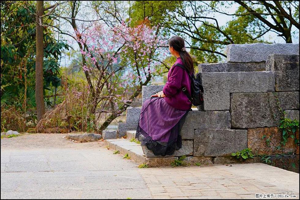 【春天,广西桂林灌阳县向您发出邀请!】江口老街又逢春 - 游山玩水 - 周口生活社区 - 周口28生活网 zk.28life.com