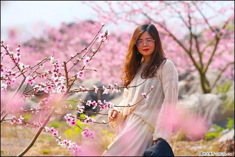 【春天，广西桂林灌阳县向您发出邀请！】望月岭上桃花开 - 游山玩水 - 周口生活社区 - 周口28生活网 zk.28life.com