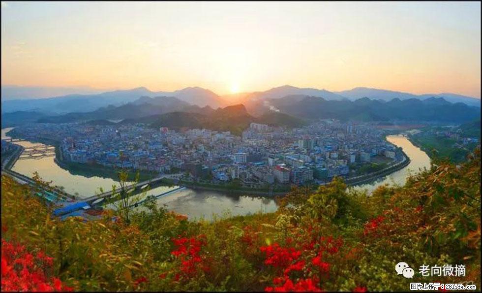 【春天,广西桂林灌阳县向您发出邀请!】登麒麟山,相约映山红 - 游山玩水 - 周口生活社区 - 周口28生活网 zk.28life.com