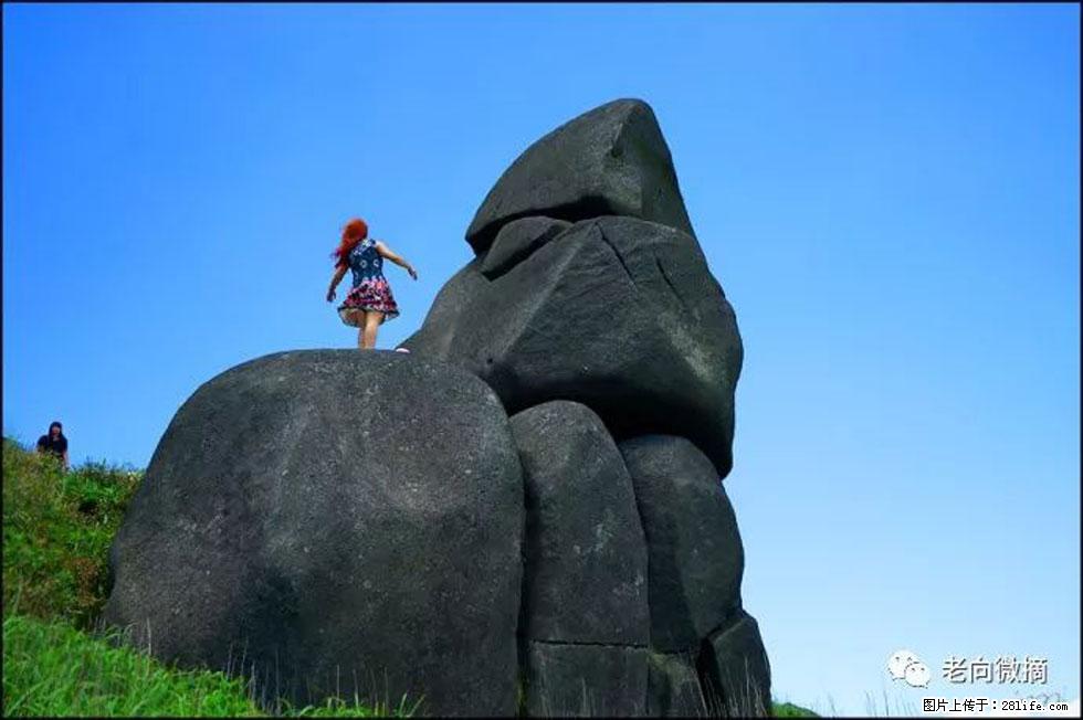 【春天,广西桂林灌阳县向您发出邀请!】宝盖山上映山红 - 游山玩水 - 周口生活社区 - 周口28生活网 zk.28life.com