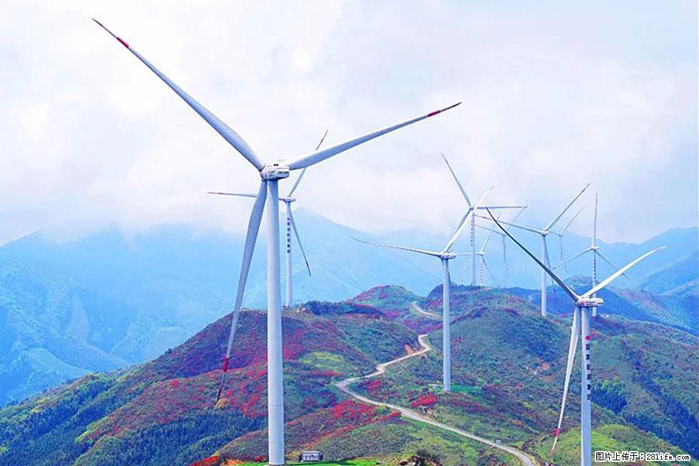 【春天,广西桂林灌阳县向您发出邀请!】春木界上映山红 - 游山玩水 - 周口生活社区 - 周口28生活网 zk.28life.com