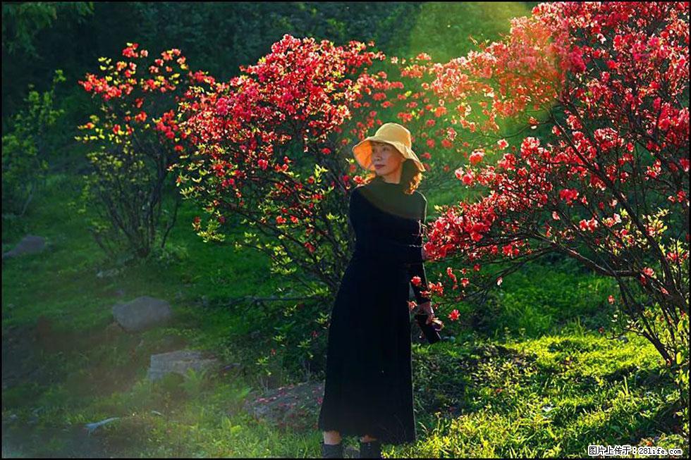 【春天,广西桂林灌阳县向您发出邀请!】春木界上映山红 - 游山玩水 - 周口生活社区 - 周口28生活网 zk.28life.com