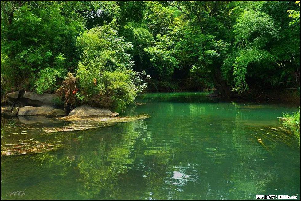 【春天,广西桂林灌阳县向您发出邀请!】如梦似幻莲溪庐 - 游山玩水 - 周口生活社区 - 周口28生活网 zk.28life.com