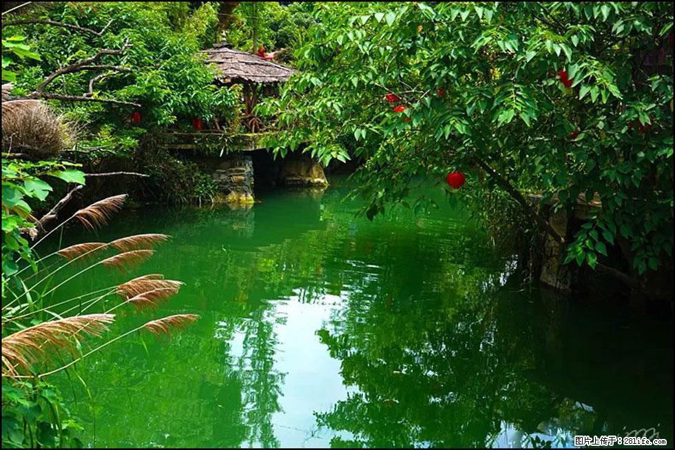 【春天,广西桂林灌阳县向您发出邀请!】如梦似幻莲溪庐 - 游山玩水 - 周口生活社区 - 周口28生活网 zk.28life.com