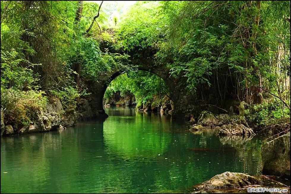 【春天,广西桂林灌阳县向您发出邀请!】如梦似幻莲溪庐 - 游山玩水 - 周口生活社区 - 周口28生活网 zk.28life.com