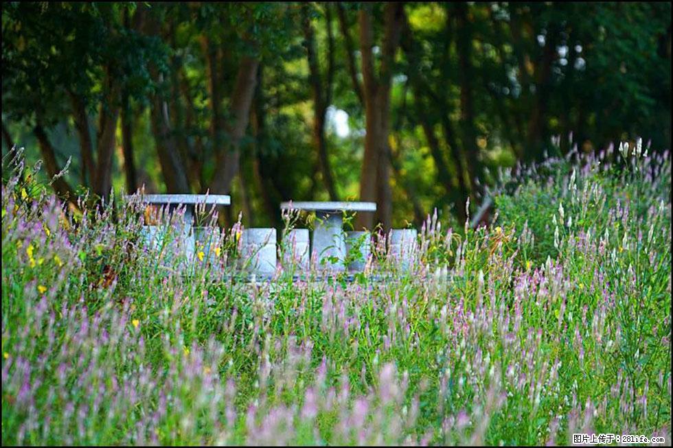 【春天,广西桂林灌阳县向您发出邀请!】熊家寨湿地公园 - 游山玩水 - 周口生活社区 - 周口28生活网 zk.28life.com