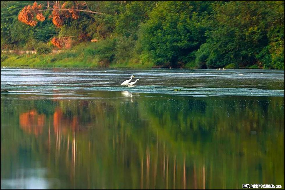 【春天,广西桂林灌阳县向您发出邀请!】熊家寨湿地公园 - 游山玩水 - 周口生活社区 - 周口28生活网 zk.28life.com