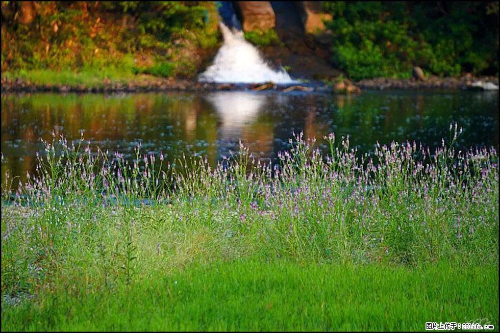 【春天,广西桂林灌阳县向您发出邀请!】熊家寨湿地公园 - 游山玩水 - 周口生活社区 - 周口28生活网 zk.28life.com