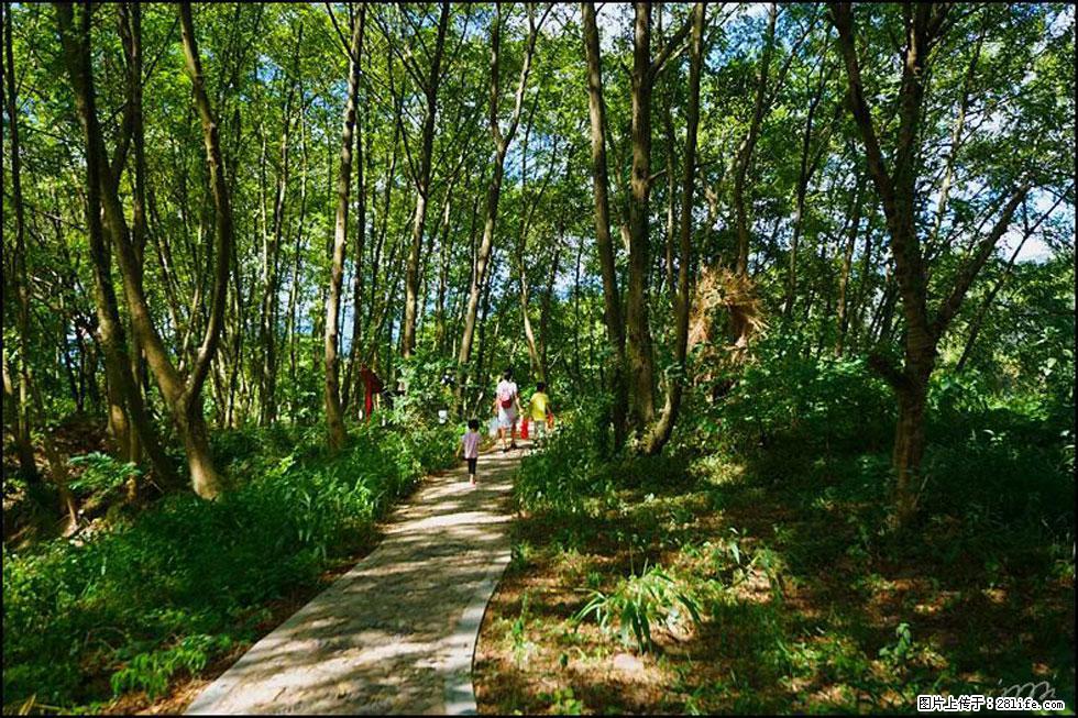 【春天,广西桂林灌阳县向您发出邀请!】熊家寨湿地公园 - 游山玩水 - 周口生活社区 - 周口28生活网 zk.28life.com