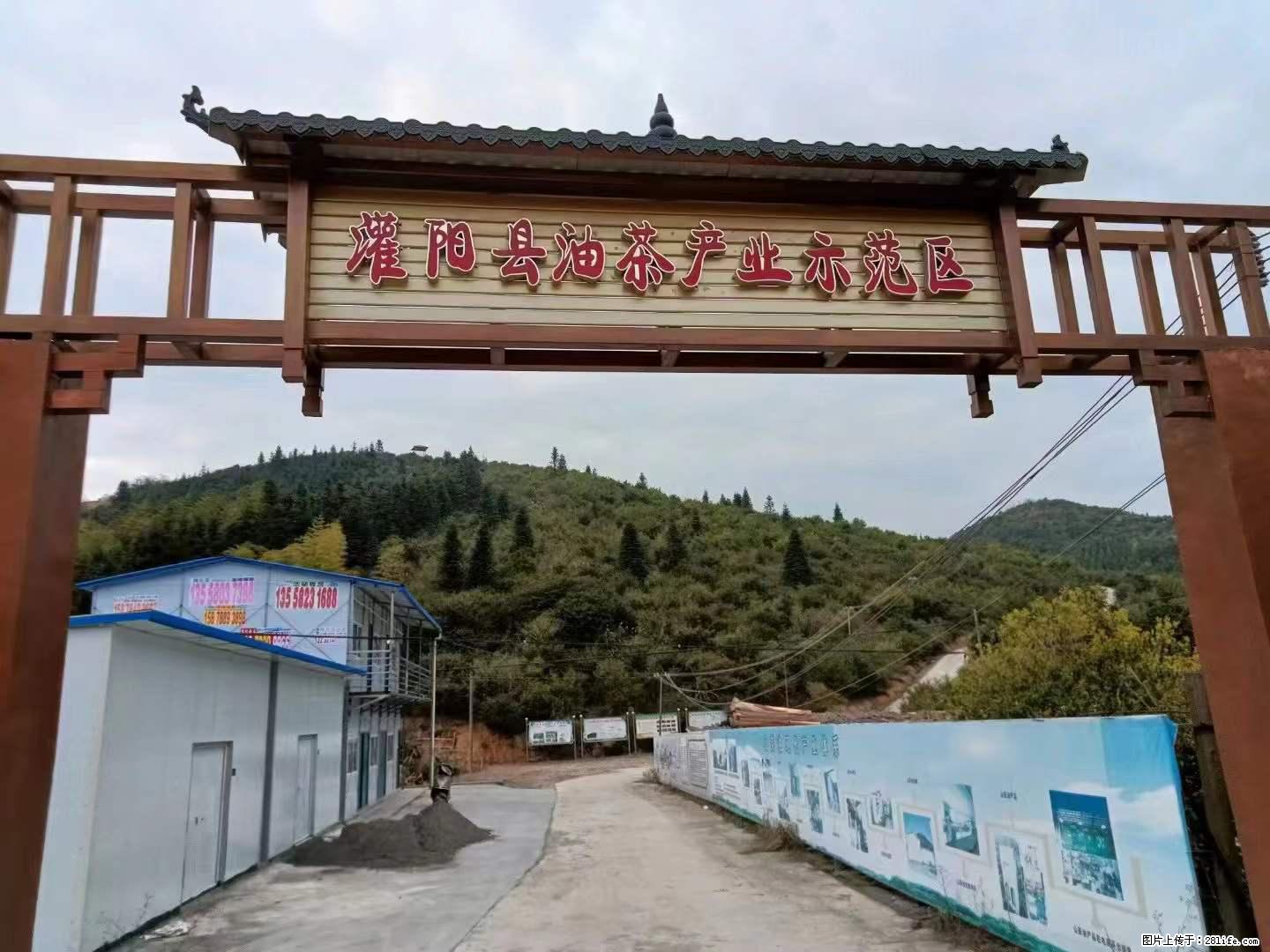 【灌阳县油茶产业示范区】一个有着充实的精神生活的人，对待身外之物自会有一种淡泊的态度 - 土特产 - 饮食特产 - 周口分类信息 - 周口28生活网 zk.28life.com