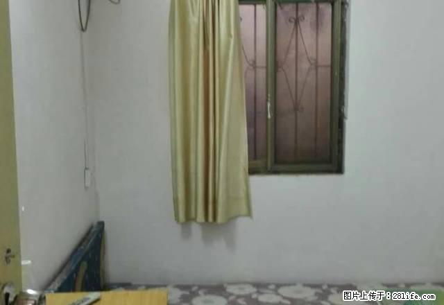 八一路与七一路4楼二室一厅家电家俱齐全 - 房屋出租 - 房屋租售 - 周口分类信息 - 周口28生活网 zk.28life.com