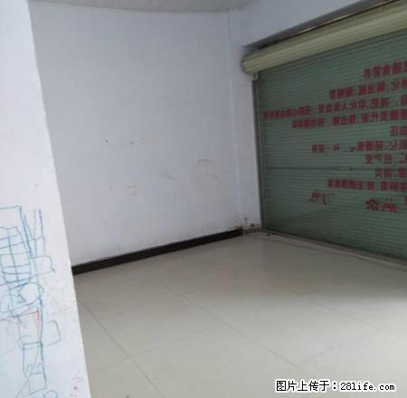 海景小区一楼带院,三室二厅,随时入住 - 房屋出租 - 房屋租售 - 周口分类信息 - 周口28生活网 zk.28life.com