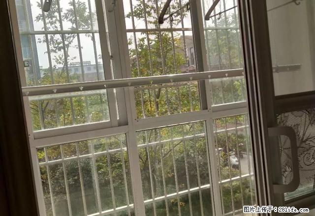 金泰王朝 精装三房 交通便利 - 房屋出租 - 房屋租售 - 周口分类信息 - 周口28生活网 zk.28life.com