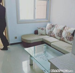 天鹏皇朝 一室一厅一卫 装修精致 您理想的住房！！！ - 周口28生活网 zk.28life.com