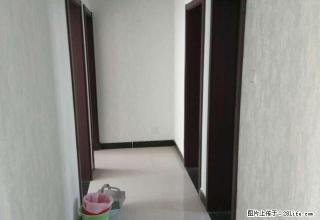 周口市文昌小学附近 婚房精装三室 未住过人 急租 随时看房 - 周口28生活网 zk.28life.com