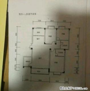 (单间出租)万达熙龙湾豪华装修3房，送地下室和车库，繁华地带值得选择 - 周口28生活网 zk.28life.com