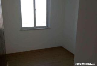 碧桂园 大三房 精装 采光好 - 周口28生活网 zk.28life.com