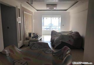 碧桂园豪华装新房3室2阳台阳光房 出租 家具全新 - 周口28生活网 zk.28life.com