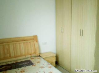 急租 精装全齐 拎包入住！！书香门第 通透户型 出行生活便利 - 周口28生活网 zk.28life.com