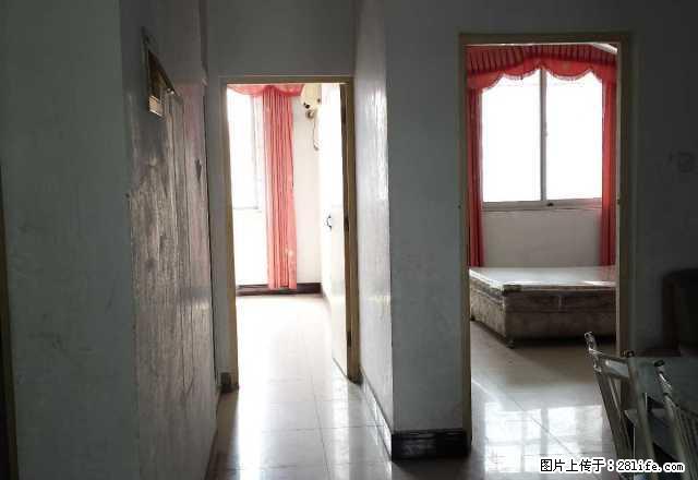 育新街八一路交叉口市畜牧局家属院 3室2厅1卫 - 房屋出租 - 房屋租售 - 周口分类信息 - 周口28生活网 zk.28life.com