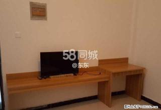 海燕鑫聚 1室1厅1卫 - 周口28生活网 zk.28life.com