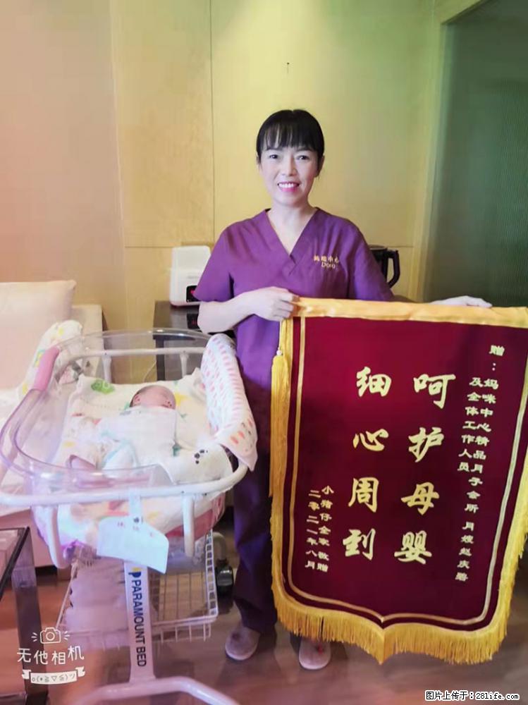 上海高端月子会所招新手月嫂，零基础带教，包吃住 - 职场交流 - 周口生活社区 - 周口28生活网 zk.28life.com