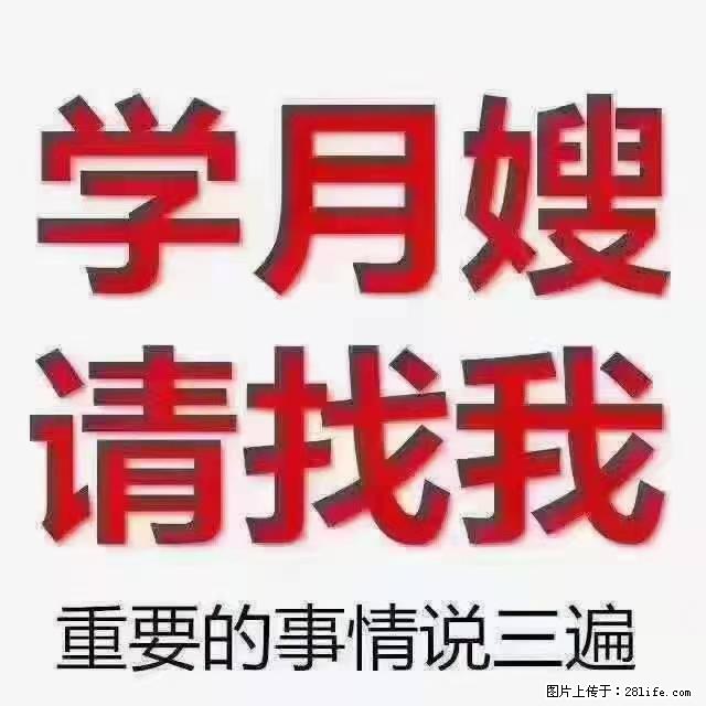 【招聘】月嫂，上海徐汇区 - 职场交流 - 周口生活社区 - 周口28生活网 zk.28life.com