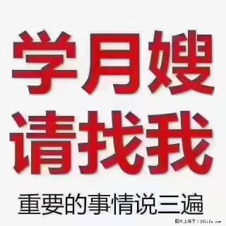 【招聘】月嫂，上海徐汇区 - 周口28生活网 zk.28life.com