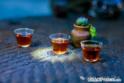 时间果百年古树2025年春红茶 - 购物交流 - 周口生活社区 - 周口28生活网 zk.28life.com