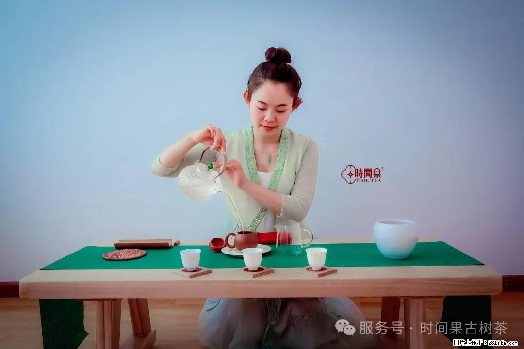 时间果百年古树龙珠普洱生茶 - 购物交流 - 周口生活社区 - 周口28生活网 zk.28life.com