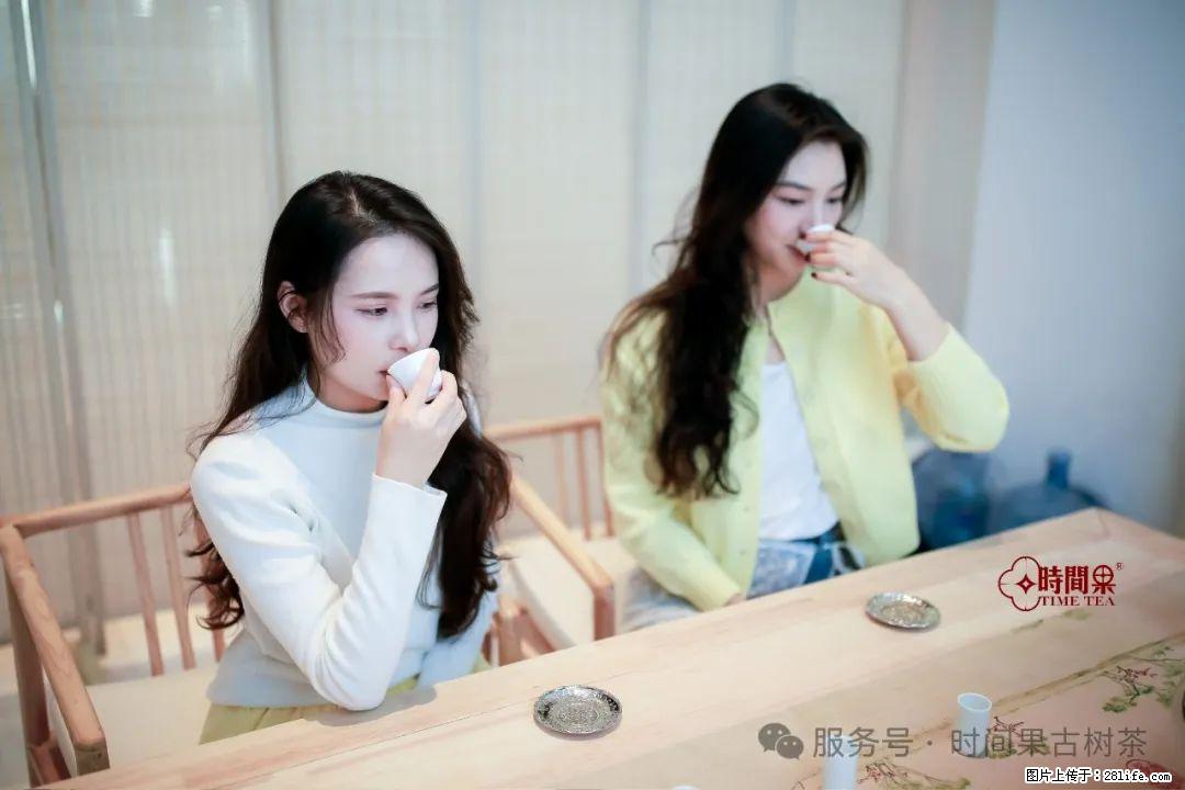 时间果百年古树龙珠普洱生茶 - 购物交流 - 周口生活社区 - 周口28生活网 zk.28life.com