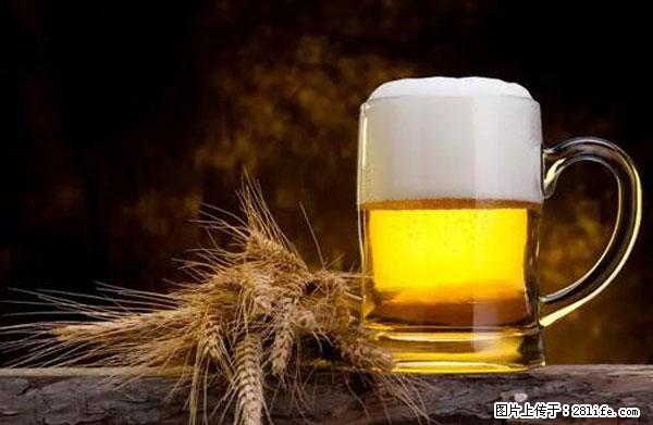 原来它这么毒，然而竟然满大街都是.... - 周口生活资讯 - 周口28生活网 zk.28life.com