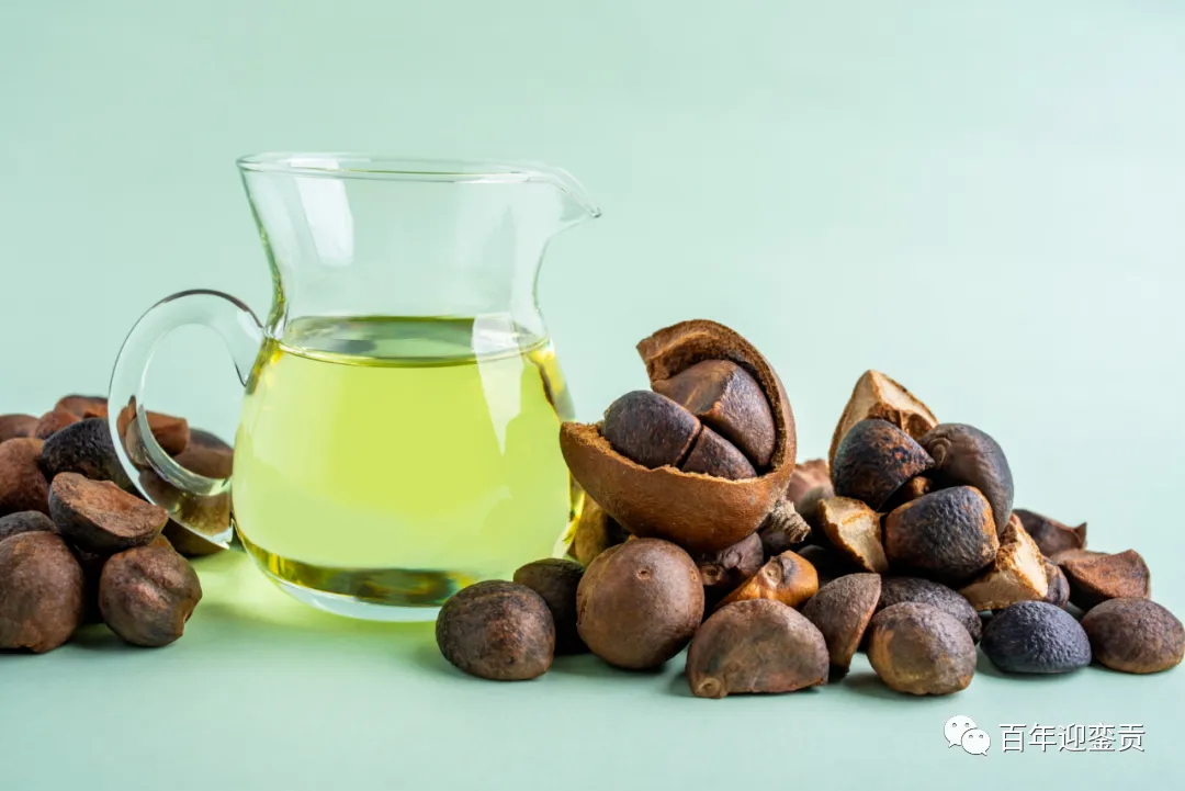 世界没有真相,只有认知,最好的食用油是中国的山茶油! - 周口生活资讯 - 周口28生活网 zk.28life.com