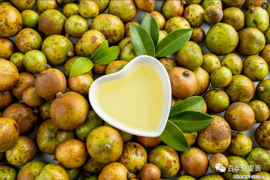 世界没有真相,只有认知,最好的食用油是中国的山茶油! - 周口生活资讯 - 周口28生活网 zk.28life.com