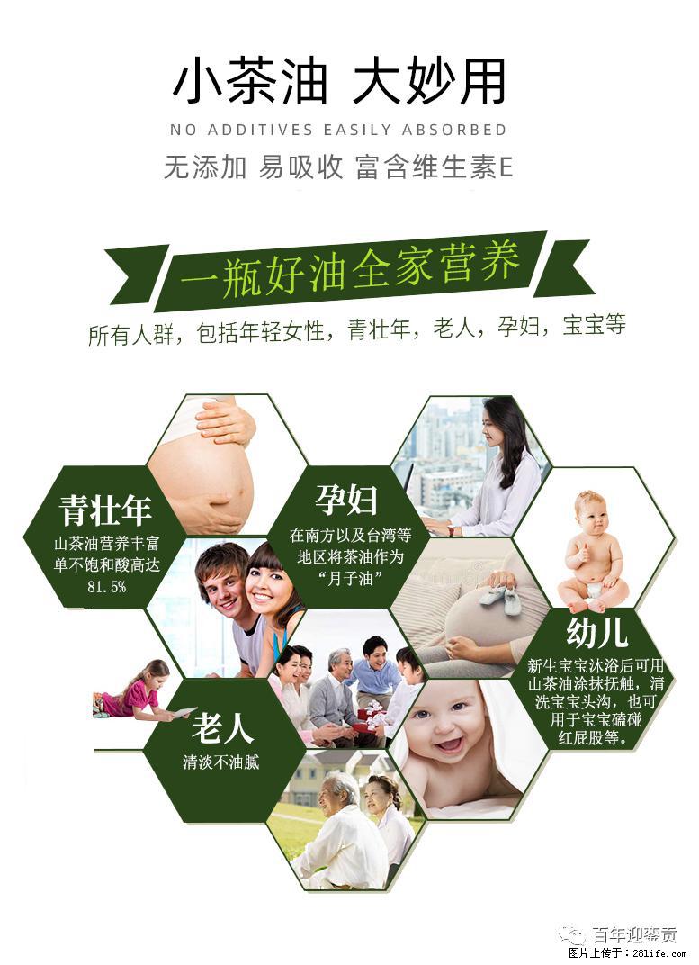 世界没有真相,只有认知,最好的食用油是中国的山茶油! - 周口生活资讯 - 周口28生活网 zk.28life.com