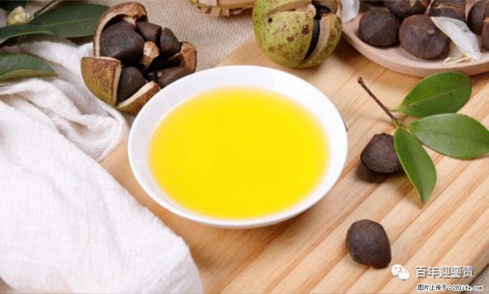 世界没有真相,只有认知,最好的食用油是中国的山茶油! - 周口生活资讯 - 周口28生活网 zk.28life.com