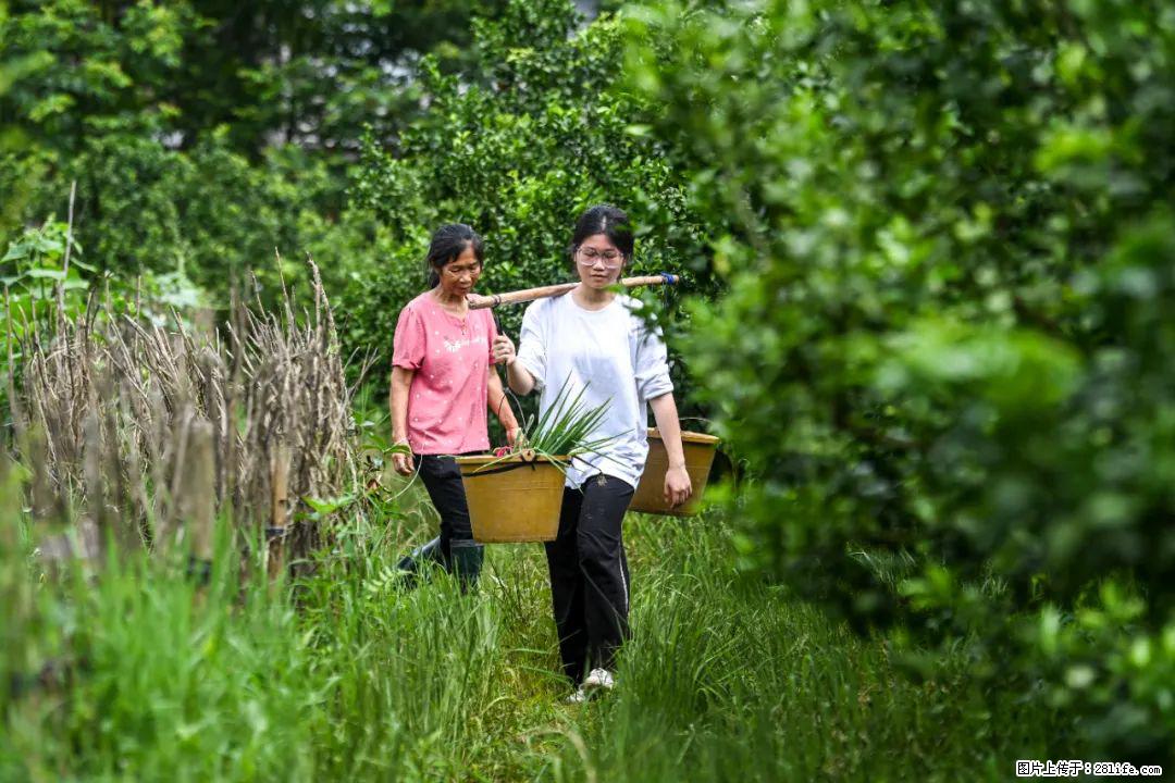 全网追的“扁担女孩”，找了一份暑假工，时薪12元 - 周口生活资讯 - 周口28生活网 zk.28life.com
