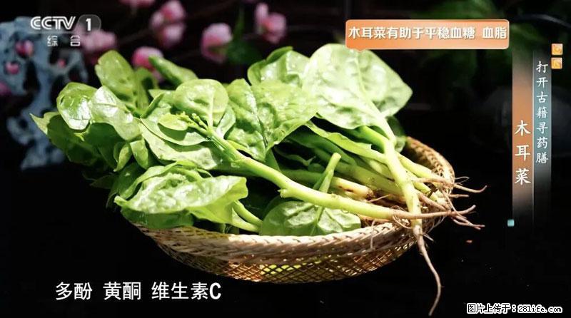 比牛奶补钙还厉害！凉血解毒、稳血糖...这菜冬天必吃，很多人却当草 - 周口生活资讯 - 周口28生活网 zk.28life.com
