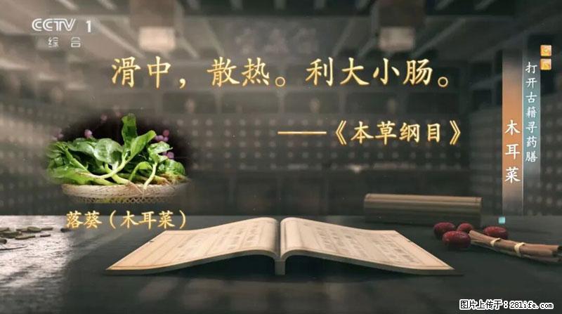 比牛奶补钙还厉害！凉血解毒、稳血糖...这菜冬天必吃，很多人却当草 - 周口生活资讯 - 周口28生活网 zk.28life.com