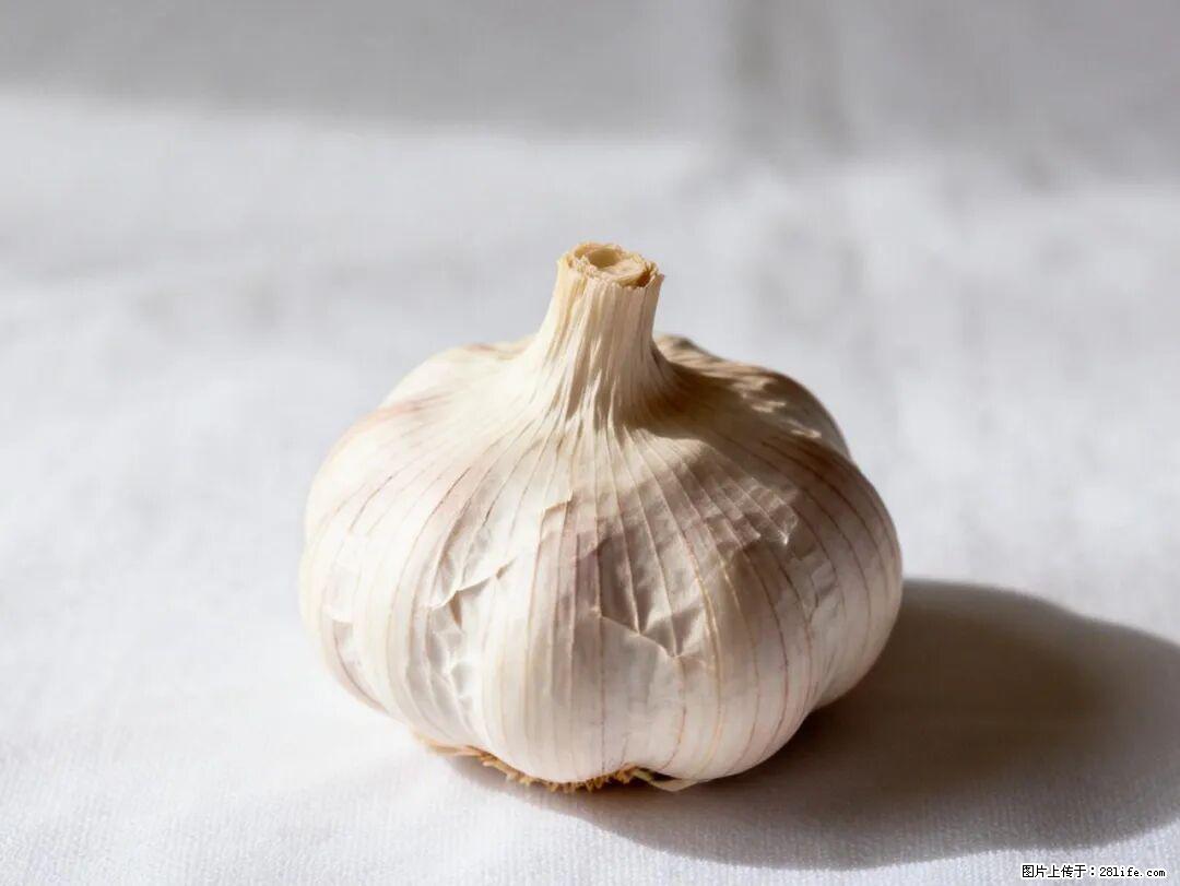 关于大蒜,除了“天然抗生素”,这4个谣言更该警惕! - 周口生活资讯 - 周口28生活网 zk.28life.com