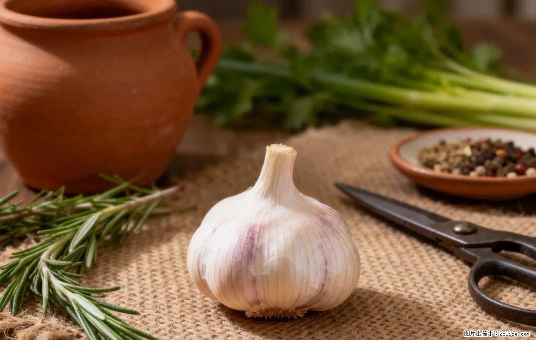 关于大蒜,除了“天然抗生素”,这4个谣言更该警惕! - 周口生活资讯 - 周口28生活网 zk.28life.com