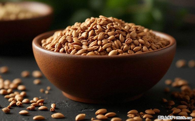 这三苦是三高“克星”，心血管干净不易堵！每天吃一点，指标慢慢降下来~ - 周口生活资讯 - 周口28生活网 zk.28life.com