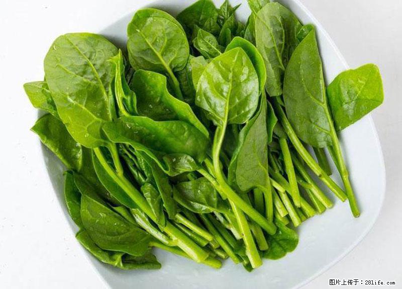 这些蔬菜是“天然钙片”，这6种被医生重点推荐 - 周口生活资讯 - 周口28生活网 zk.28life.com