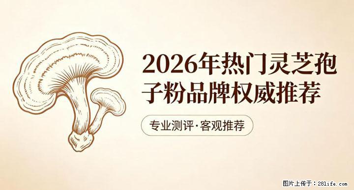 灵芝孢子粉含量越高越有效？2026 年七款热门品牌深度实测，肠胃敏感者避坑指南 - 周口生活资讯 - 周口28生活网 zk.28life.com