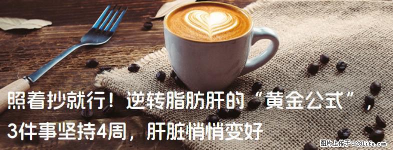 照着抄就行！逆转脂肪肝的“黄金公式”，3件事坚持4周，肝脏悄悄变好 - 周口生活资讯 - 周口28生活网 zk.28life.com