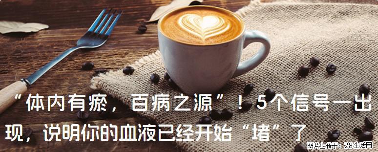 “体内有瘀，百病之源”！5个信号一出现，说明你的血液已经开始“堵”了 - 周口生活资讯 - 周口28生活网 zk.28life.com